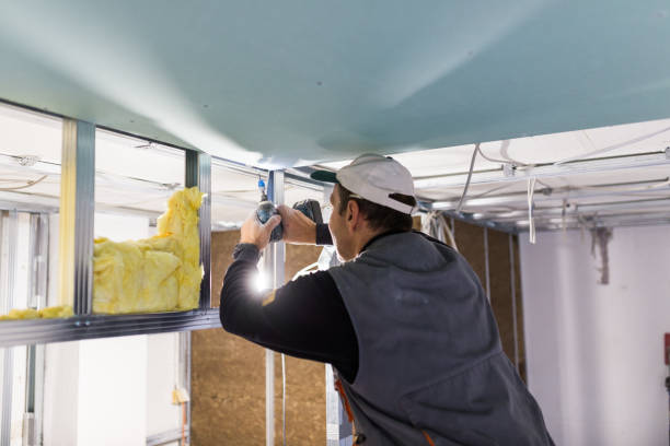 Best Insulation Maintenance and Repair in Lindenhurst, NY